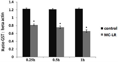 Liver Transcriptome and miRNA Analysis of <mark class="highlighted">Silver Carp (Hypophthalmichthys molitrix)</mark> Intraperitoneally Injected With Microcystin-LR